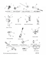 ELECTRICA, COMPONENTS 2