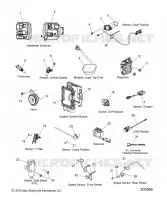 ELECTRICA, COMPONENTS