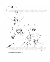 SISTEMA DE COMBUSTIBLE, FUEL RAIL/THROTTLE BODY